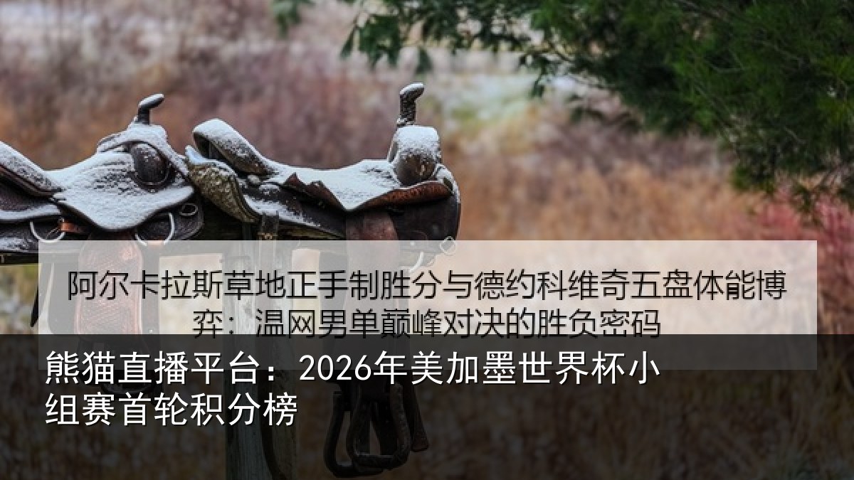 熊猫直播平台:2026年美相关情况首轮积分榜